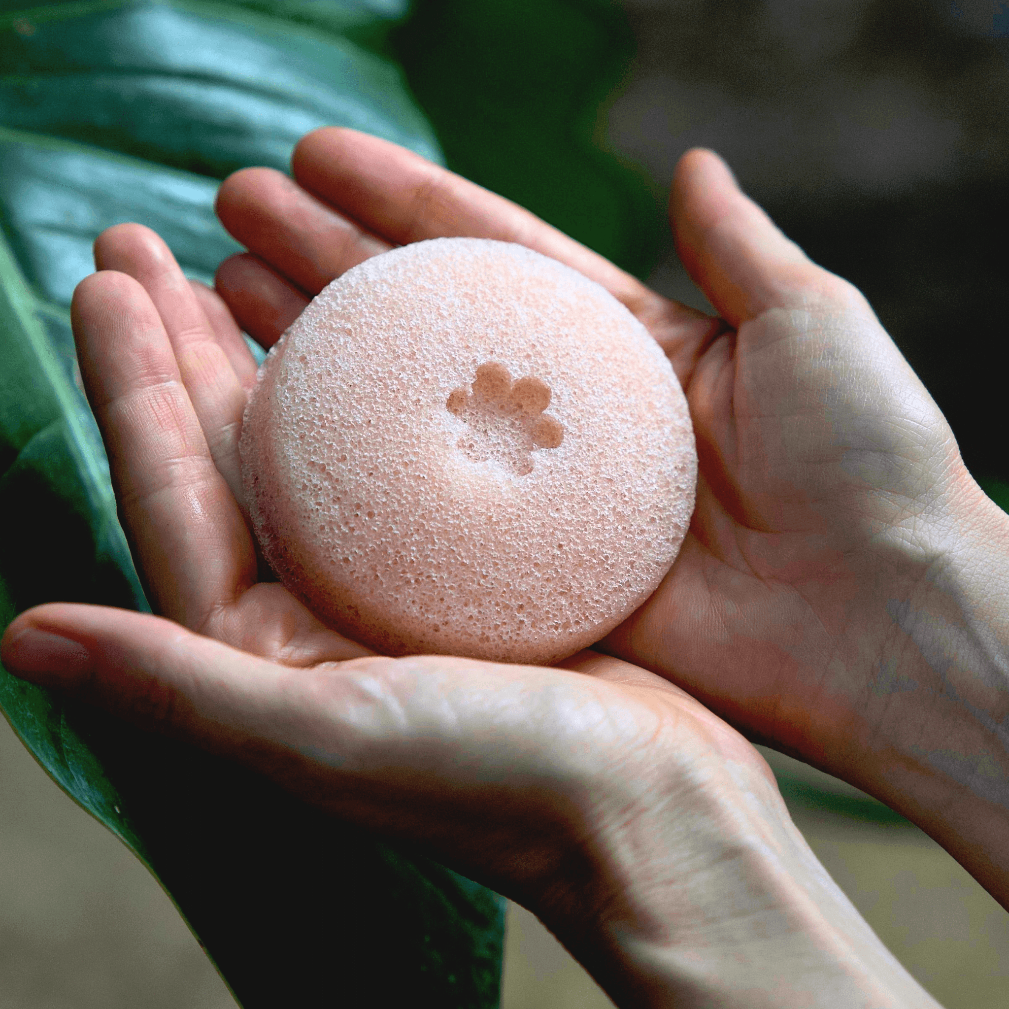 French pink clay konjac sponge held in the hands